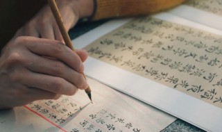 成可以组什么词 成可以组什么词语