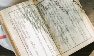 转可以组什么词（转可以组什么词语和拼音）