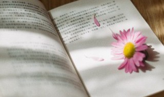 田可以组什么词 舔可以组什么词语