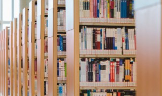 新可以组什么词（新可以组什么词?）