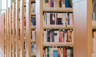 抡可以组什么词（抡可以组什么词）