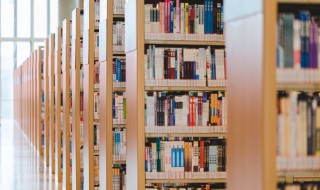 差可以组什么词（柴可以组什么词）