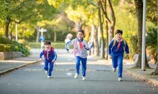 森林的森可以组什么词（森林的森可以组什么词语或者成语）