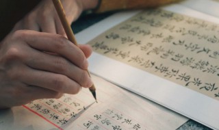 鸭可以组什么词 鸭可以组什么词语和拼音