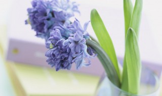 网可以组什么词 网可以组什么词语