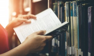 刺客是什么意思（刺客是什么意思梗）