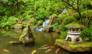 生态园是什么意思（生态园里有啥）