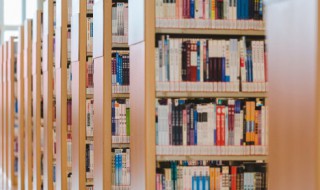 源可以组什么词（源可以组什么词语和拼音）