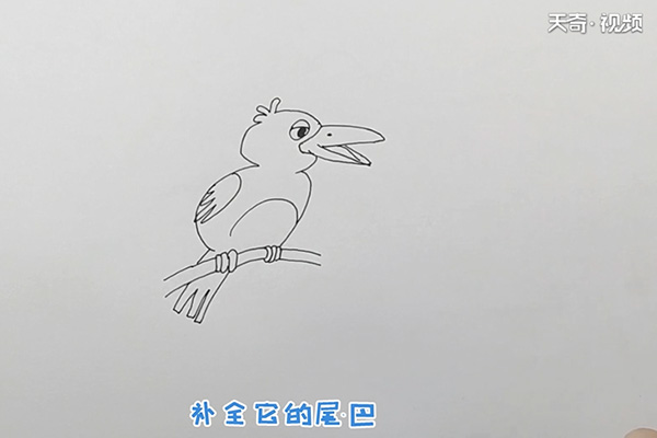 乌鸦简笔画