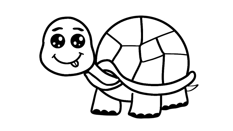 乌龟图片大全大图 乌龟图片大全画法