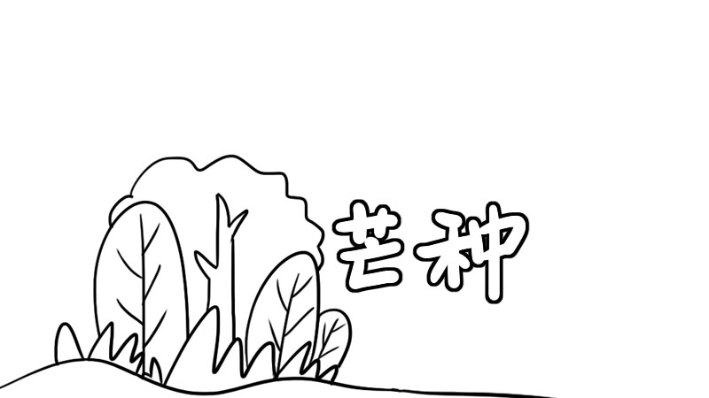 芒种节气手抄报 芒种节气手抄报画法