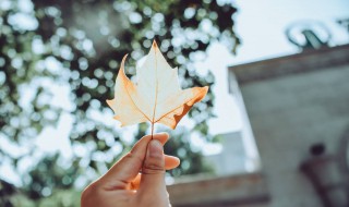 幸福就是现在作文（幸福就是现在作文400字）