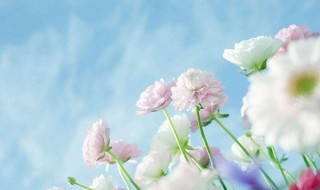 幸福回味作文（幸福的回味作文）