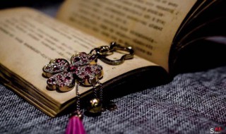 我学会了画画的作文 我学会了画画的作文500字