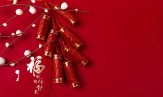 新年畅想作文 新年畅想作文800字