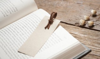 什么是TWI 什么是TWS