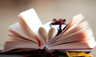 关于拒绝校园欺凌作文（拒绝校园欺凌作文500字）