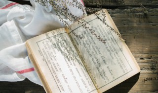 以寻找什么为话题的作文（以寻找什么为话题的作文800字）