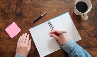 关于看戏的作文（关于看戏的作文600字左右）