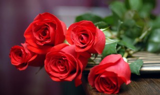 描写玫瑰花的作文 描写玫瑰花的作文300字三年级