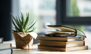 春色满校园作文（春色满校园手抄报）