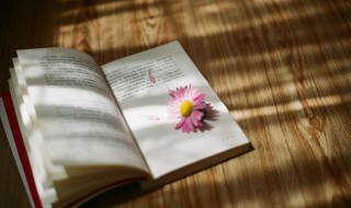 高效读书的10种方法（高效读书的10种方法视频）