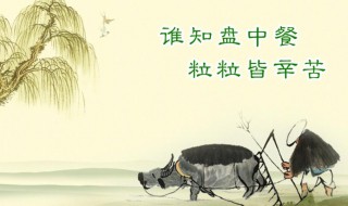 珍惜粮食的诗句（珍惜粮食的诗句或名言）