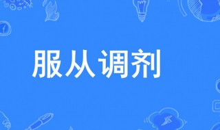 服从调剂啥意思（什么叫是否服从调剂啥意思）