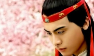 美玉无瑕指的是谁 美玉无瑕指的是