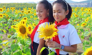 祖国的花朵指的是什么 祖国的花朵指的是什么生肖