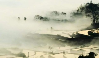 复照青苔上的上一句是什么（复照青苔上全诗）