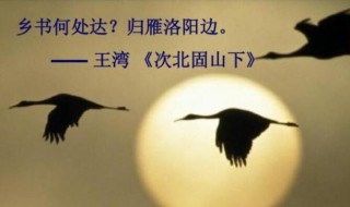 归雁洛阳边的上一句 归雁洛阳边的上一句觇