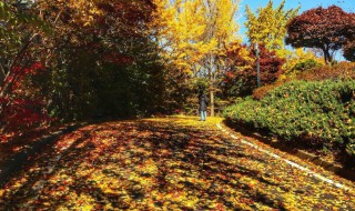 天气晚来秋的前一句 天气晚来秋的前一句是啥