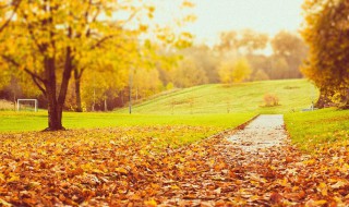 摘抄秋天优美的句子 摘抄秋天优美的句子10字