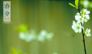 暑相连指的是什么（暑相连指的是什么过后是什么）