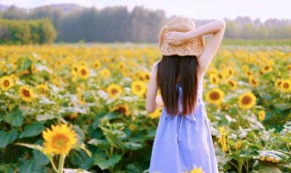 思乡之情的优美句子（思乡之情的优美句子简短）