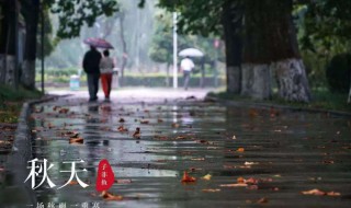 形容秋雨的句子优美（形容秋雨的句子优美的短句）