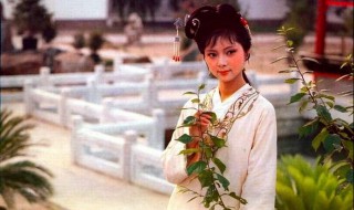 薛宝钗性格 薛宝钗性格特点及故事情节