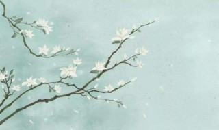 诗经里的冷门美句（诗经里的冷门美句爱情）