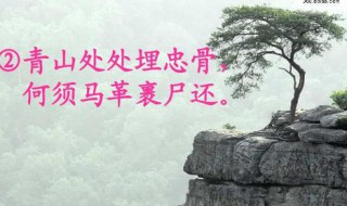 何须马革裹尸还的上一句（青山处处埋忠骨何须马革裹尸还的上一句）