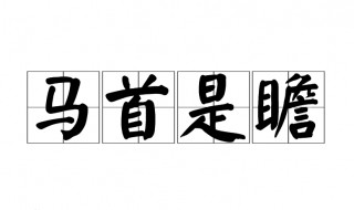 马首是瞻的意思（马首是瞻的意思解释）