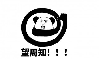望周知是啥意思（望周知是啥意思周）