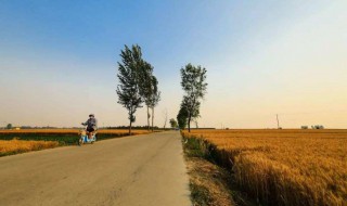 感悟什么意思（生活感悟什么意思）