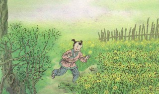 歌声振林樾的上一句 歌声振林樾的上一句是