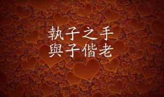 执子之手与子偕老下一句是什么 执子之手与子偕老下一句是什么,情人节苏轼