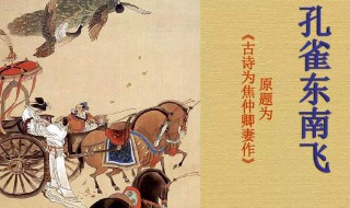 孔雀东南飞最早见于 孔雀东南飞最早见于哪本著作