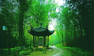 一径竹阴云满地（一径竹阴云满地下一句是什么）