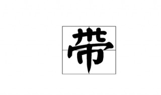 带是什么结构的字（带是什么结构的字体）