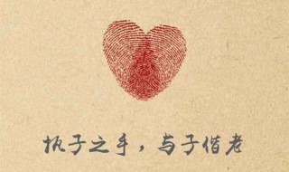 执子之手与子偕老全诗（执子之手与子偕老全诗词）