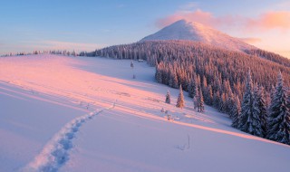 风景美的句子 形容秋季风景美的句子